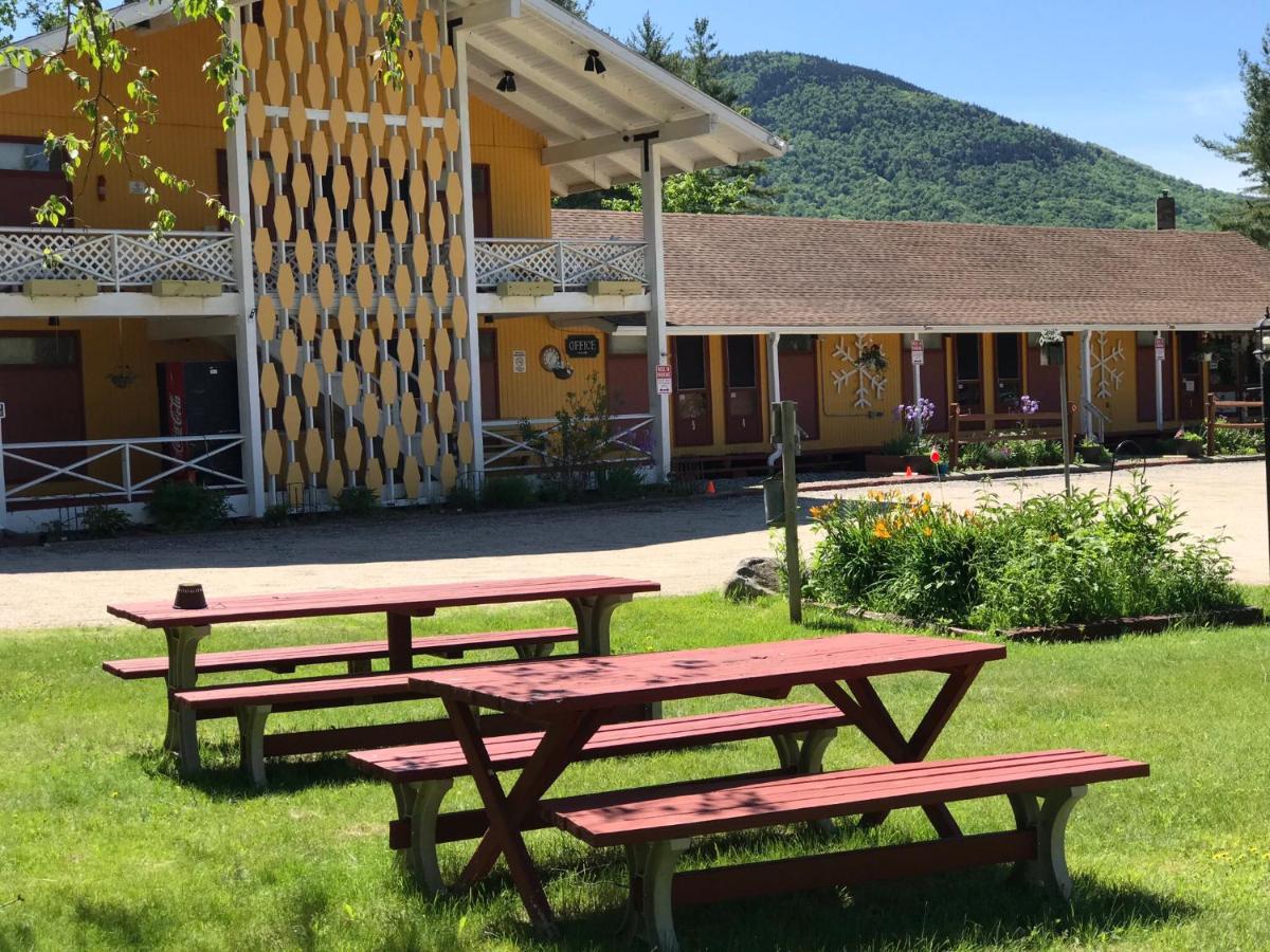 Snowdon Chalet Motel Londonderry Luaran gambar